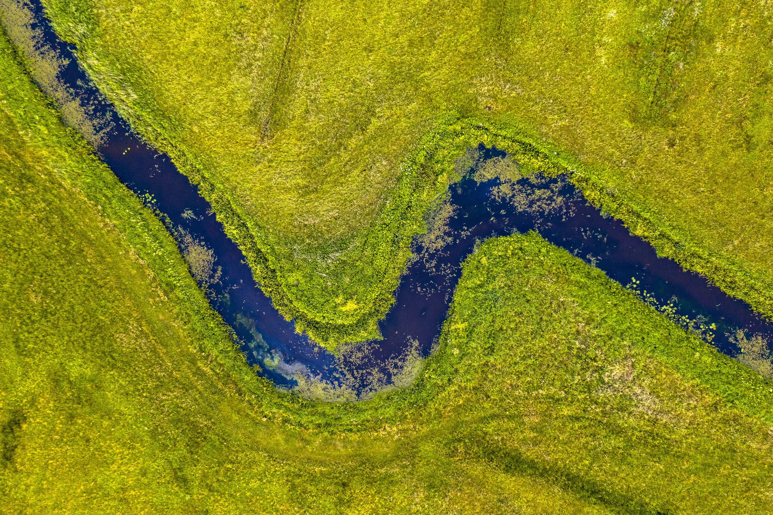 River Birdseye 1