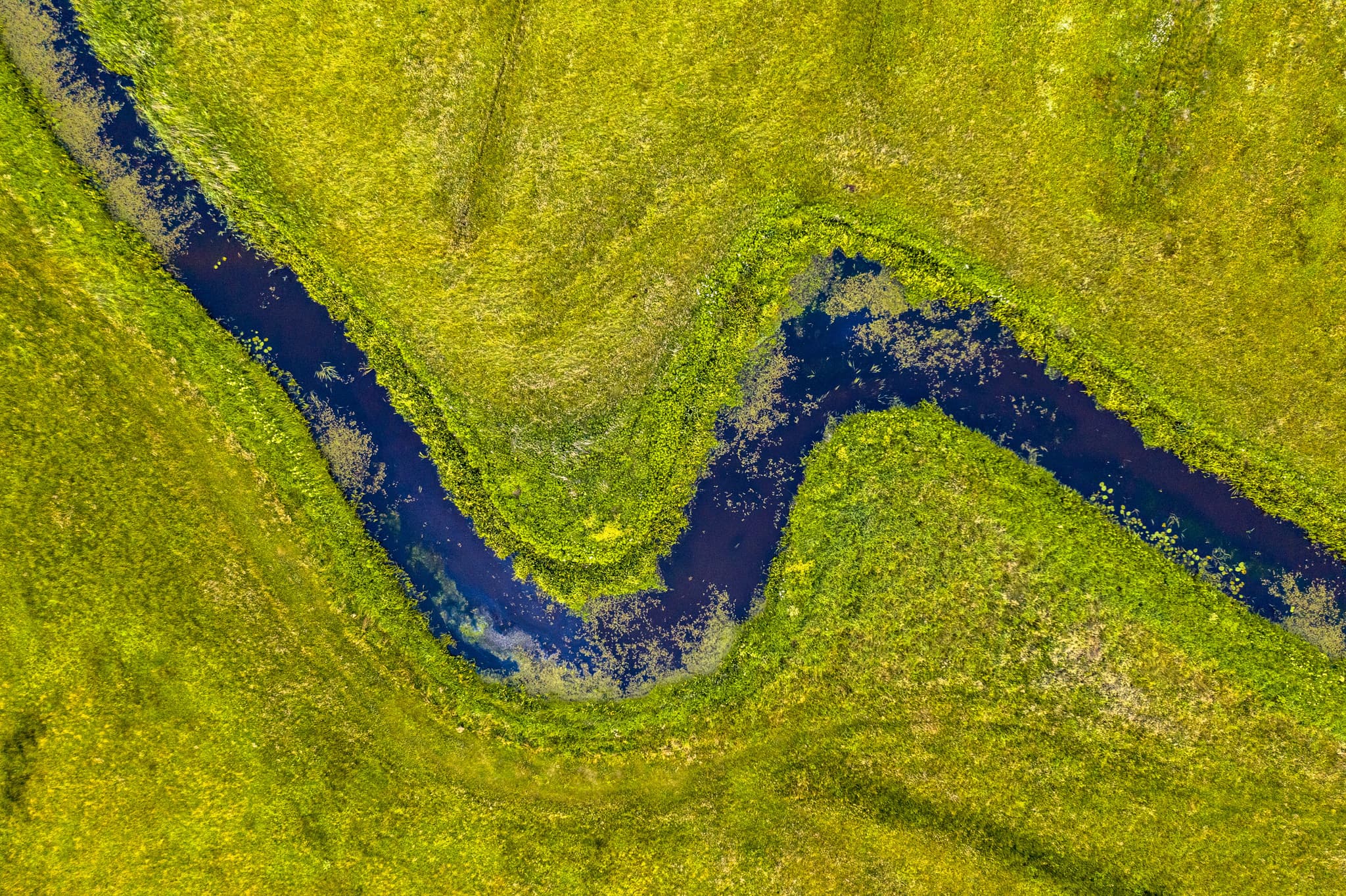 River Birdseye 1